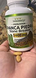 Chanca Piedra Top 5: Unlocking the Benefits of the 'Stone Breaker' Herb