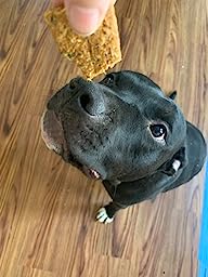 3 Healthy Dog Treats for Happy Pets: A Bark-Worthy Taste Test!