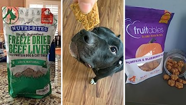 3 Healthy Dog Treats for Happy Pets: A Bark-Worthy Taste Test!